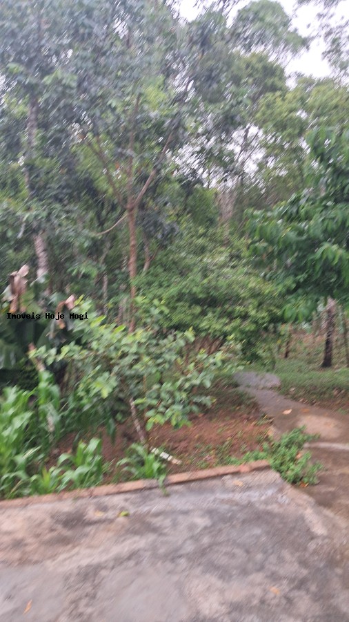 Chácara, 3 quartos, 1200 m² - Foto 19