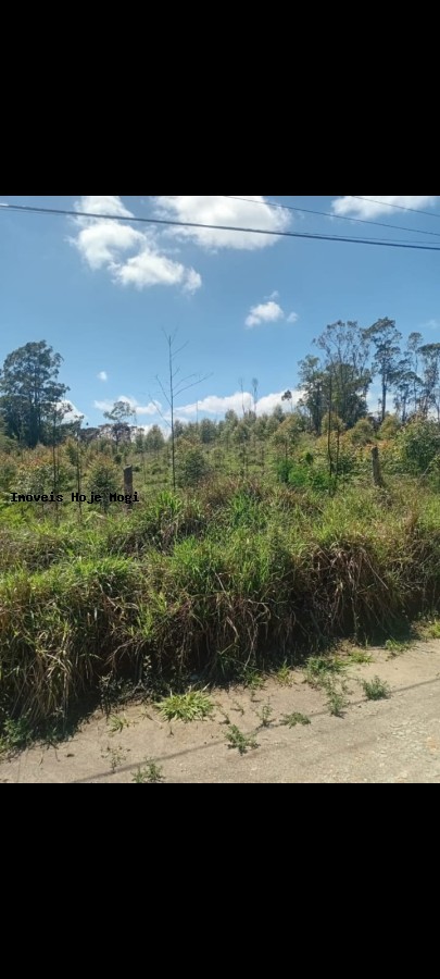 Loteamento e Condomínio, 5000 m² - Foto 4