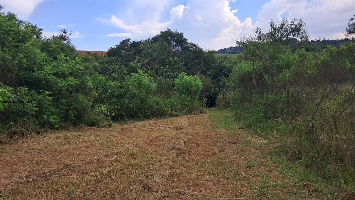 Terreno, 3000 m² - Foto 2