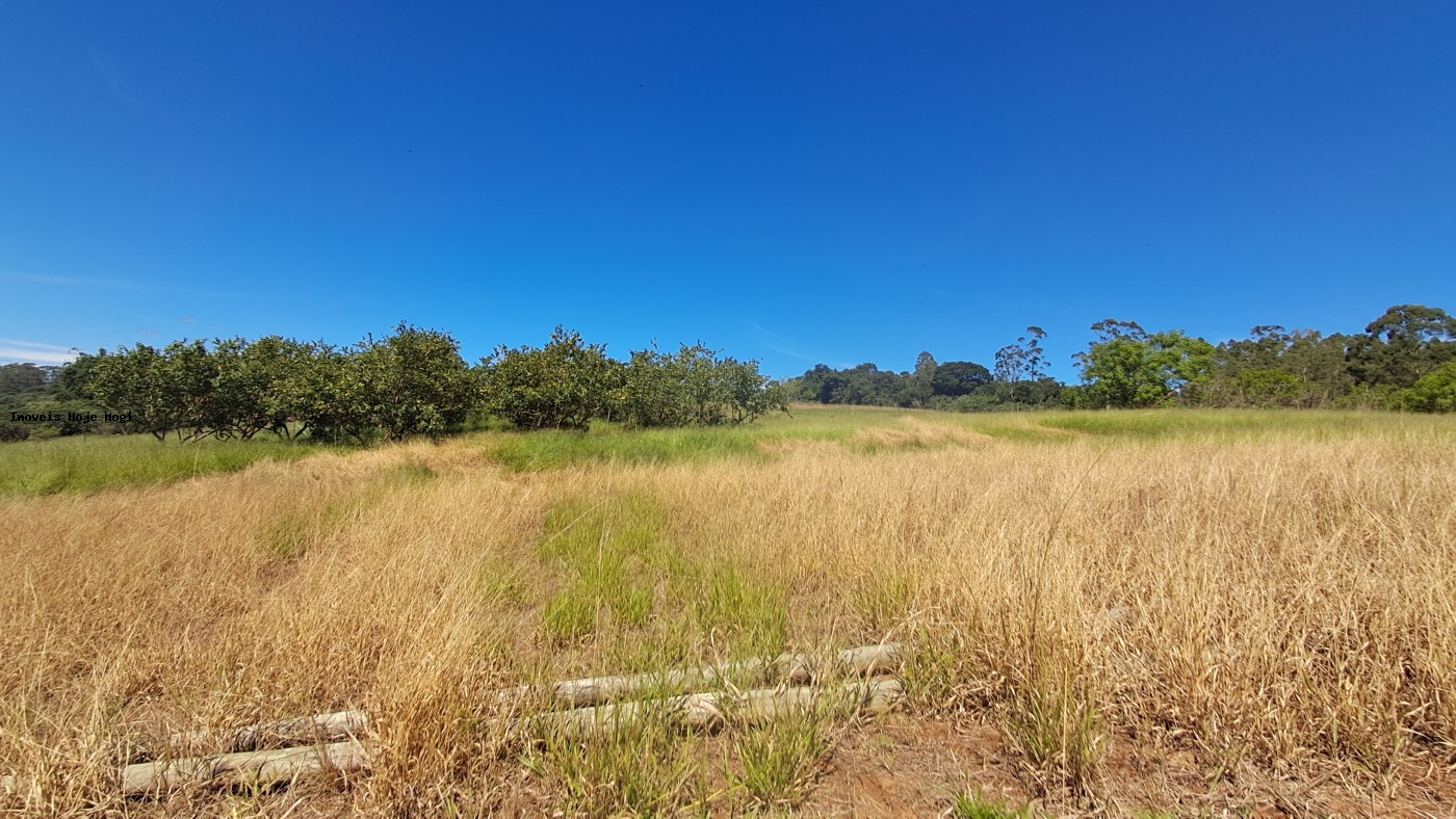 Terreno, 3000 m² - Foto 1