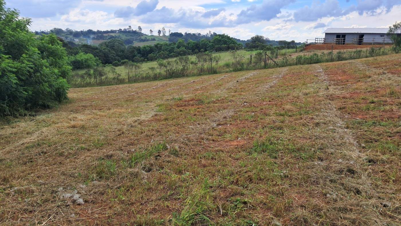 Terreno, 3000 m² - Foto 3