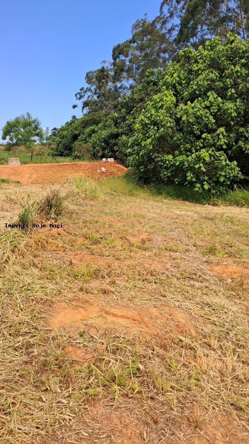 Terreno, 3000 m² - Foto 4