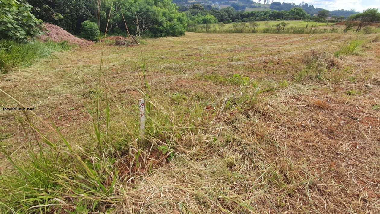 Terreno, 3000 m² - Foto 7