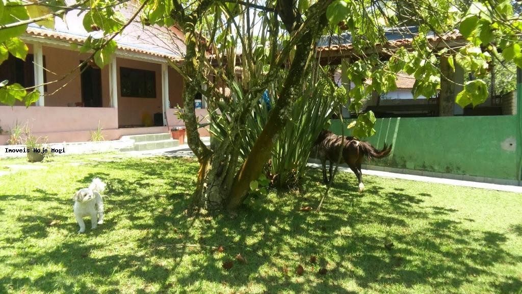 Chácara, 6 quartos, 1000 m² - Foto 7