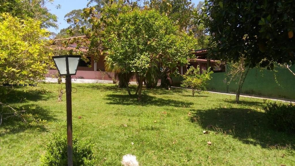 Chácara, 6 quartos, 1000 m² - Foto 9