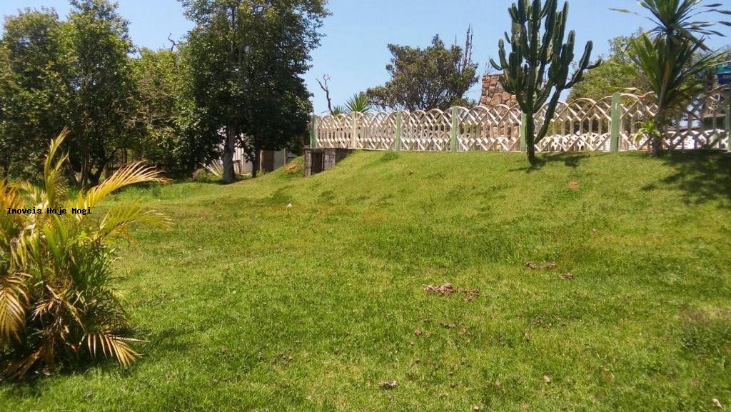 Chácara, 6 quartos, 1000 m² - Foto 10