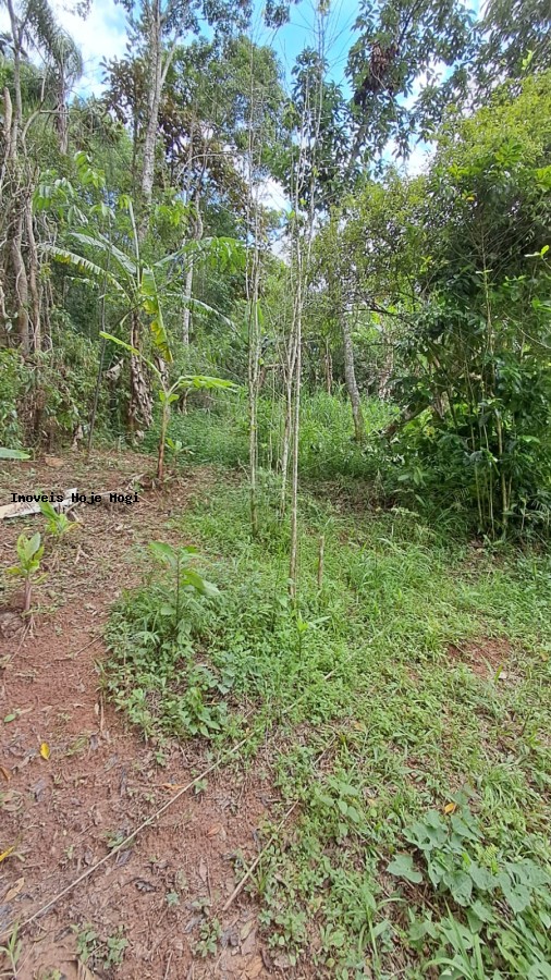 Chácara, 2 quartos, 3000 m² - Foto 6