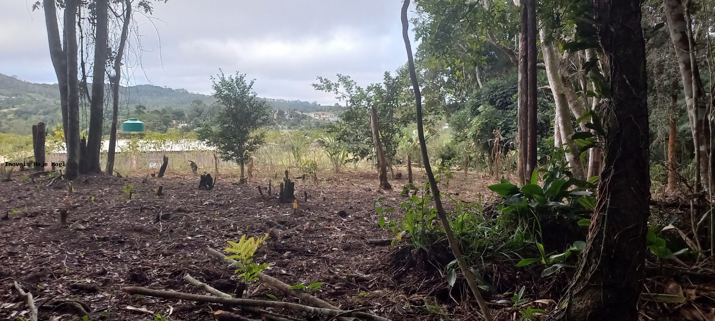 Fazenda, 5000 m² - Foto 2