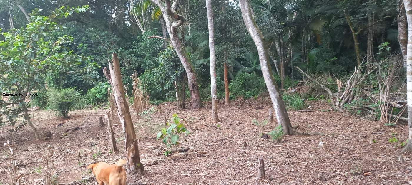 Fazenda, 5000 m² - Foto 3