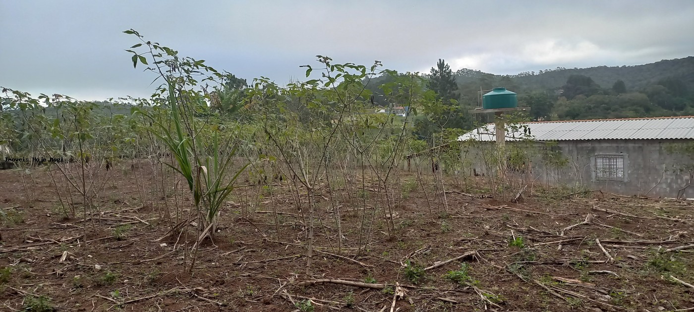 Fazenda, 5000 m² - Foto 4