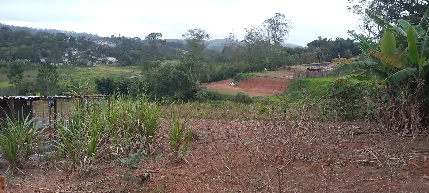 Fazenda, 5000 m² - Foto 7