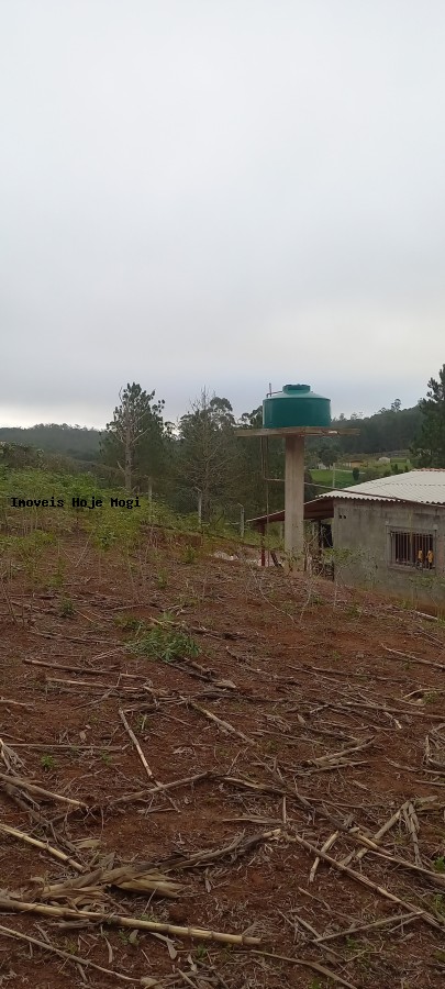 Fazenda, 5000 m² - Foto 6