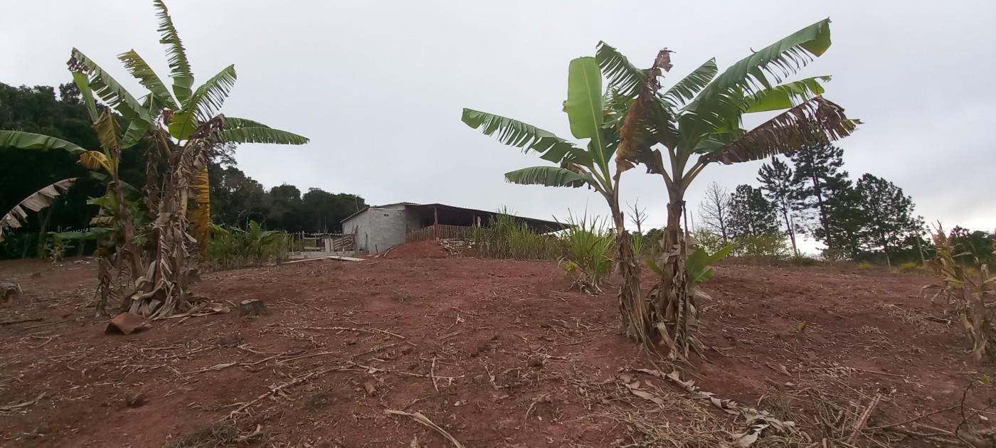 Fazenda, 5000 m² - Foto 9