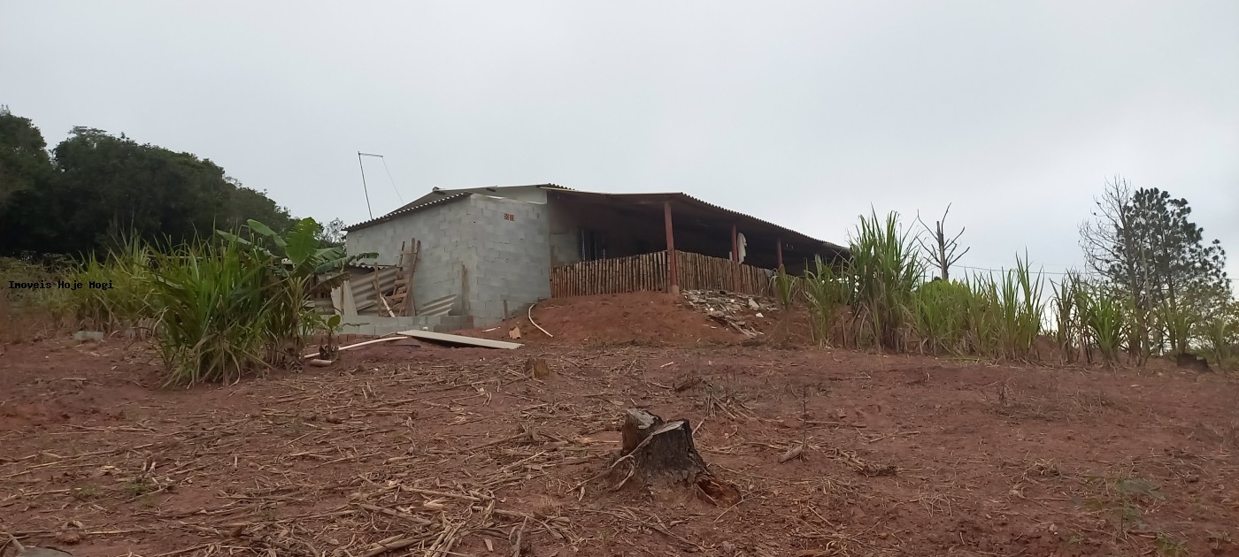 Fazenda, 5000 m² - Foto 8