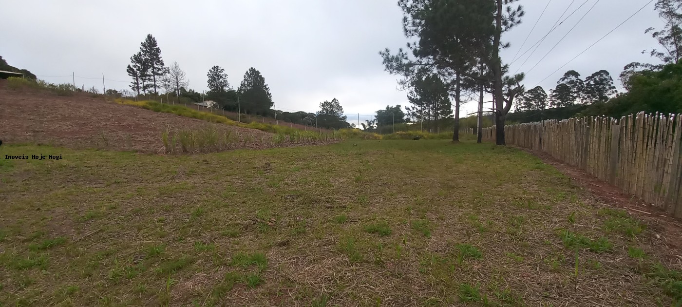 Fazenda, 5000 m² - Foto 12