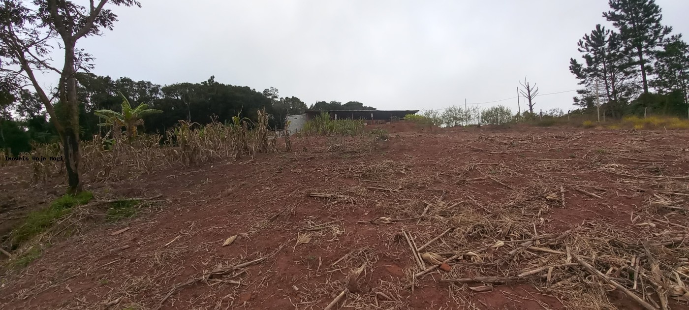 Fazenda, 5000 m² - Foto 11