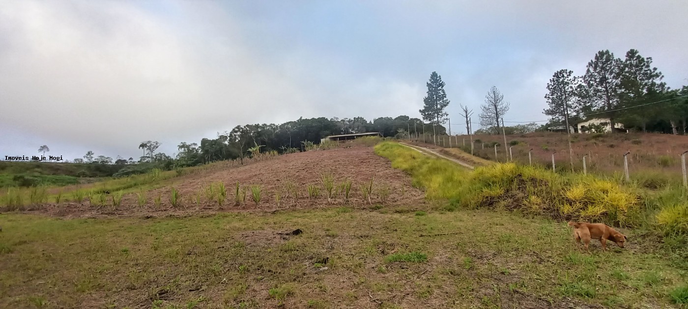 Fazenda, 5000 m² - Foto 15